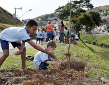 Margens do Rio Paraibuna recebem novas mudas de árvores