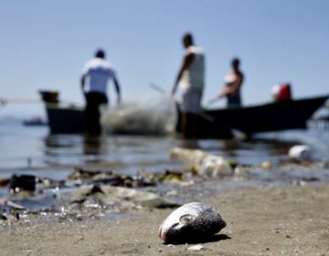 Poluição plástica é tema do Dia Mundial do Meio Ambiente 2018