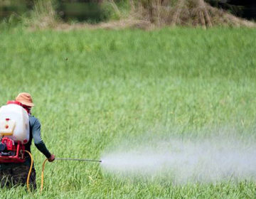 Comissões da ALMG vão discutir redução de agrotóxicos