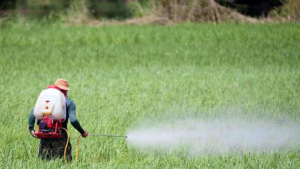 Comissões da ALMG vão discutir redução de agrotóxicos