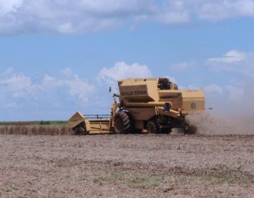 Confiança no agronegócio cai 8,6 pontos no trimestre, diz Fiesp