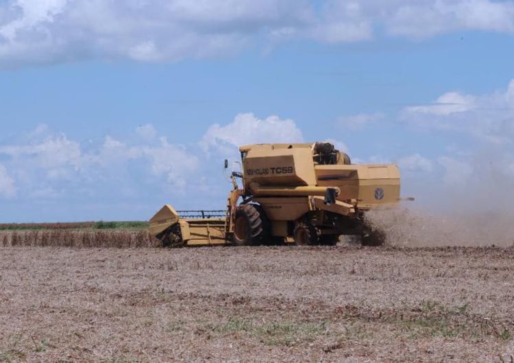 Confiança no agronegócio cai 8,6 pontos no trimestre, diz Fiesp