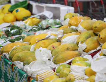 Má digestão dos alimentos se intensifica no inverno