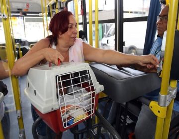 Senado discute proposta que garante embarque de animais domésticos em todos os meios de transporte