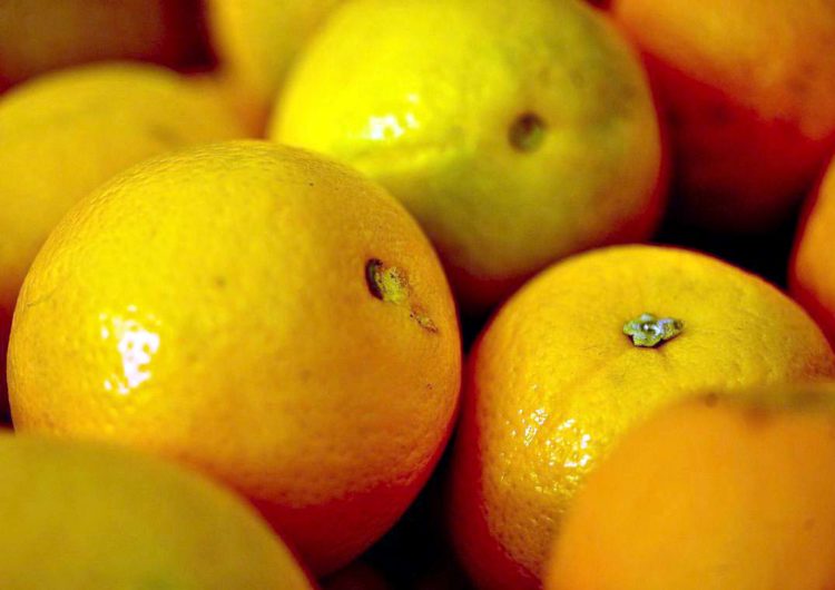 Exportação de suco de laranja registra alta de 29%