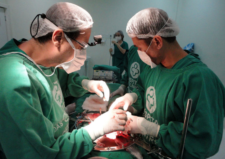 CCJ pode votar projeto que permite doação de órgãos sem autorização de familiares