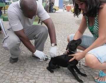 Prefeitura segue com programação para campanha de vacinação Antirrábica na Zona Rural