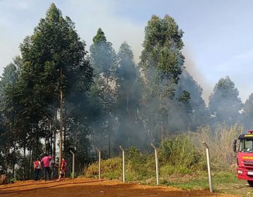 Incêndio atinge bairro Serra D’água em Juiz de Fora