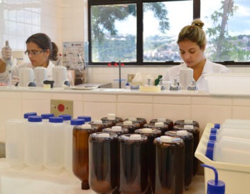 Cesama realiza 793 análises de água em julho