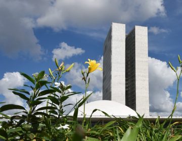 Número de candidatos ao Senado é o maior já registrado em eleições