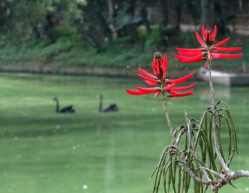 12ª Primavera de Museus promoverá ações conjuntas com instituições