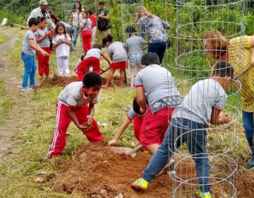 Prefeitura promove plantio de árvores nativas com crianças de escola municipal