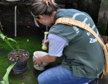 Juiz de Fora tem Liraa de 0.99 em agosto