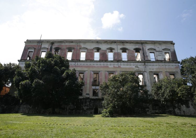 Museu Nacional será homenageado em semana de design no MAM Rio