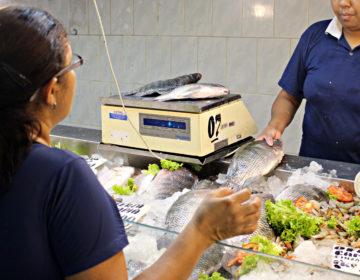 15ª Semana do Peixe está sendo realizada em todo país