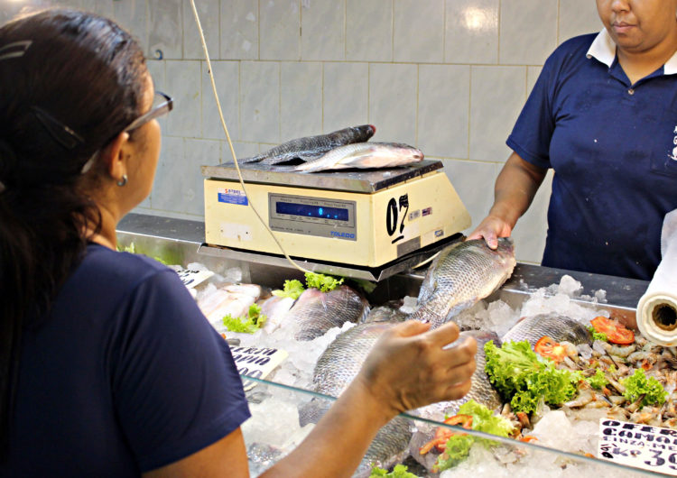 15ª Semana do Peixe está sendo realizada em todo país