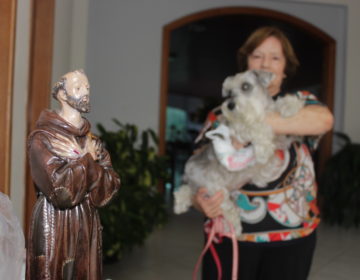 Devotos do Santo São Francisco de Assis celebram data