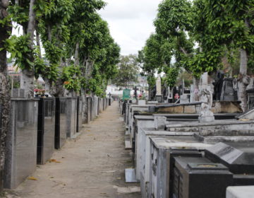 Cemitérios e floriculturas se preparam para o Dia de Finados