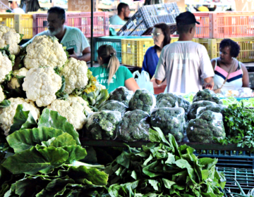 Produtos orgânicos estão cada vez mais ganhando destaque