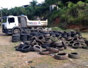 Operação contra dengue retira dois caminhões de pneus das áreas de risco