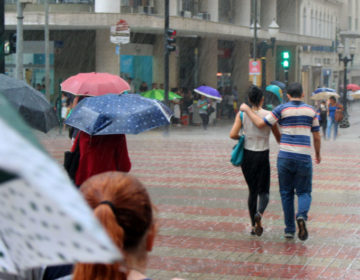 Chuva forte e ventania provocam queda de árvores e dificulta o trânsito em Juiz de Fora