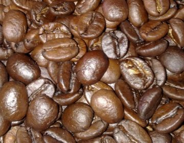 Com 3,6 mi de toneladas, produção de café é a maior da história, aponta IBGE