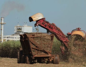 Crédito rural cresce 19% entre julho e novembro e atinge R$ 75,36 bilhões