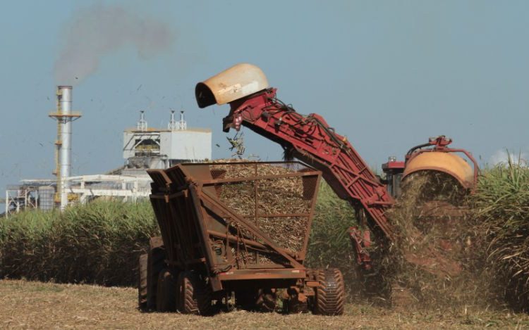 Crédito rural cresce 19% entre julho e novembro e atinge R$ 75,36 bilhões