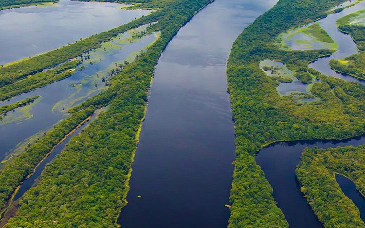 Brasil leva experiências e dados positivos no meio ambiente à COP 24