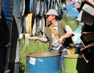 Prefeitura intensifica ações de combate ao Aedes aegypti