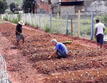 Horta comunitária no bairro Benfica será inaugurada este mês