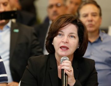 Vale e executivos devem ser responsabilizados, defende Raquel Dodge