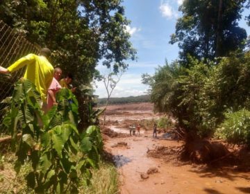 Instituto Inhotim é evacuado após rompimento de barragem em Brumadinho