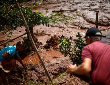 Bombeiros buscam sobreviventes em quatro áreas de Brumadinho