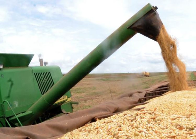 Brasil aumenta produtividade de grãos na safra 2018/2019