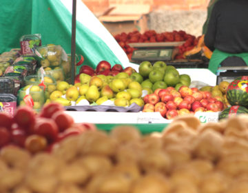 Especialista orienta sobre a alimentação no verão