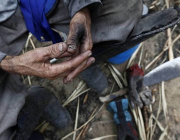 Dados da Inspeção do Trabalho revelam perfil dos resgatados