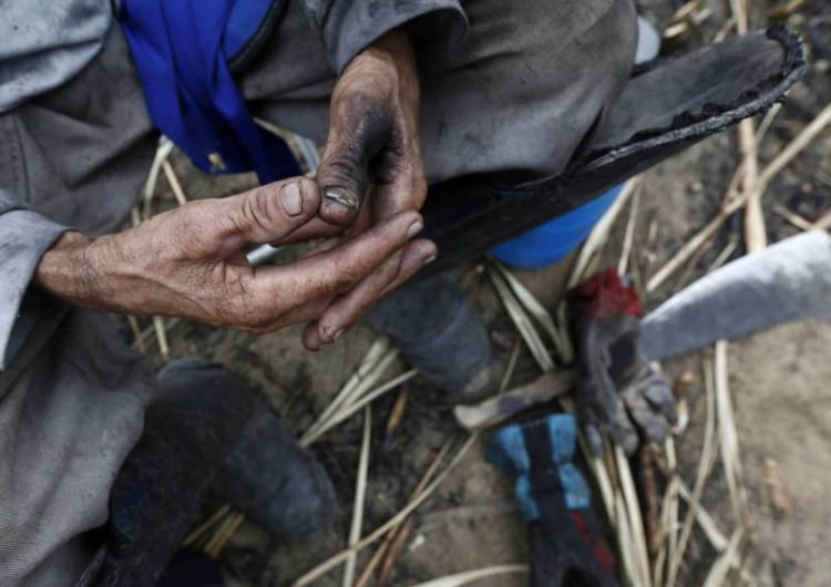 Dados da Inspeção do Trabalho revelam perfil dos resgatados