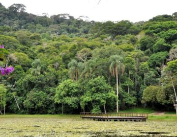 Escolas já podem agendar visitas ao Jardim Botânico da UFJF