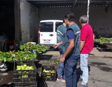 PJF interdita depósito irregular de frutas e doa mercadoria para instituições