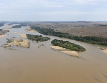 Água é considerada boa em apenas 6,5% dos rios da Mata Atlântica