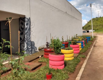 Praça CEU inaugura horta comunitária com 25 espécies