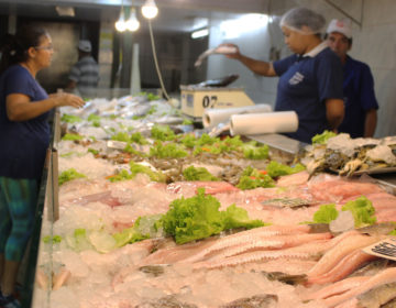 Especialista orienta sobre a escolha do peixe