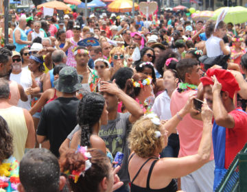 Delegado dá dicas de como curtir o carnaval com segurança