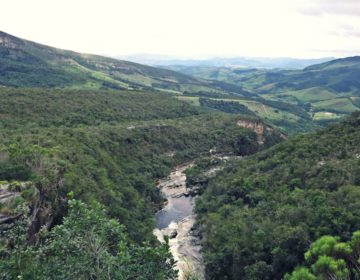 “Dia da Água” e “Dia Mundial Florestal” são comemorados em Juiz de Fora com programação especial