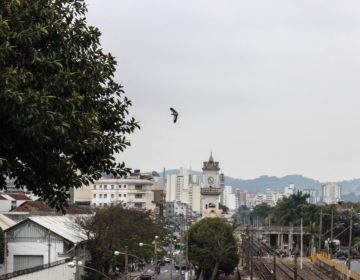 Previsão de pancadas de chuva e trovoada para a tarde desta quinta