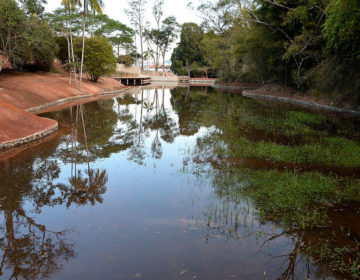 Jardim Botânico abre as portas para o público no mês de abril