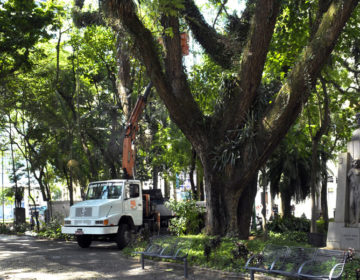 PJF inicia trabalhos para processo de revitalização do Parque Halfeld