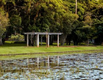 Professores estimam impacto turístico e econômico do Jardim Botânico
