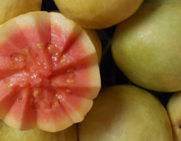 Prefeitura doa frutas para escola municipal